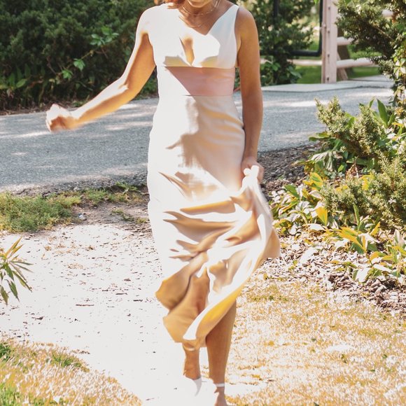 Bhldn Hathaway Dress Rose, size 0 - Picture 7 of 7